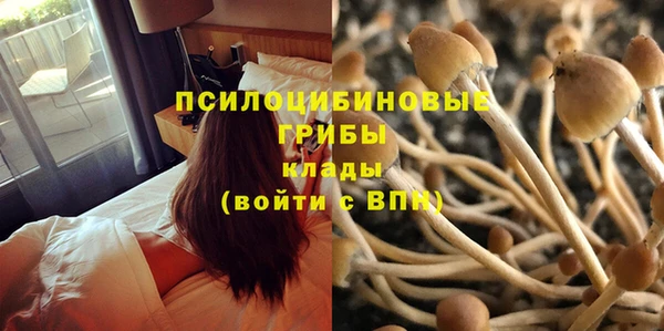 тгк Аркадак