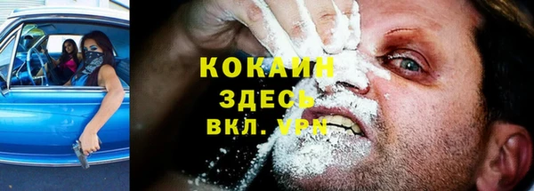 мяу мяу мука Арсеньев